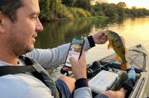 App para identificar peces