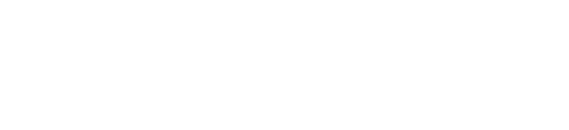 Fitzeus